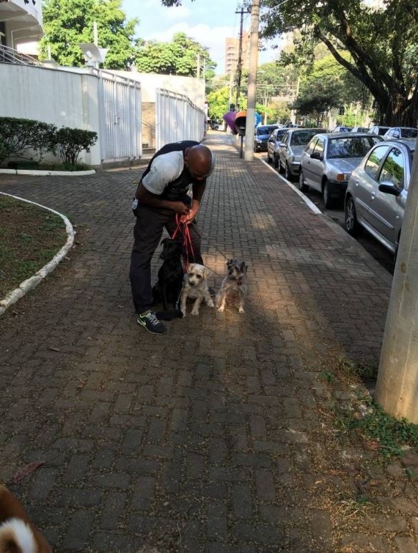 Academia Canina para Adestramento no Butantã - Adestramento para Cachorro em São Paulo