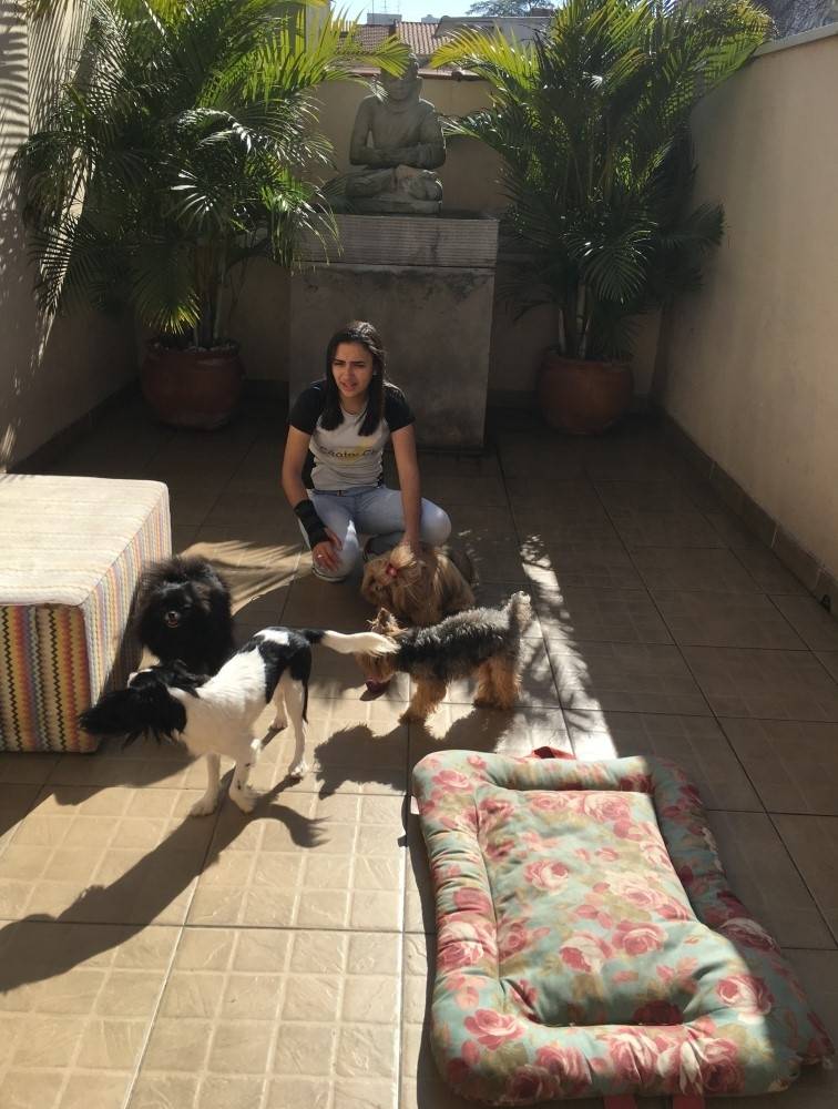 Adestramento de Cachorros Preço em São Lourenço da Serra - Adestramento de Cachorro Sp