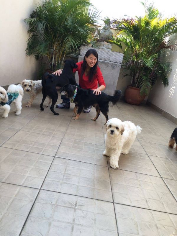 Creche Canina em Poá - Day Care para Cães