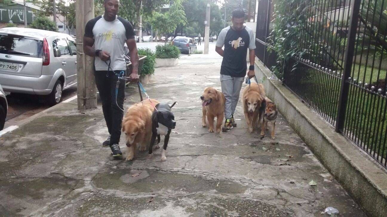 Creche para Animais no Jardim São Luiz - Hotel Creche para Cachorro