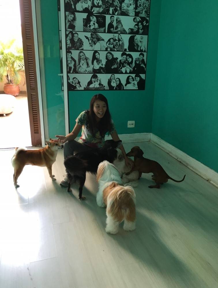 Empresas de Adestramento de Cachorro Preço em São Lourenço da Serra - Adestramento para Cães