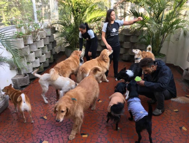 Espaço para Cachorro na Ponte Rasa - Hotelzinho para Cães