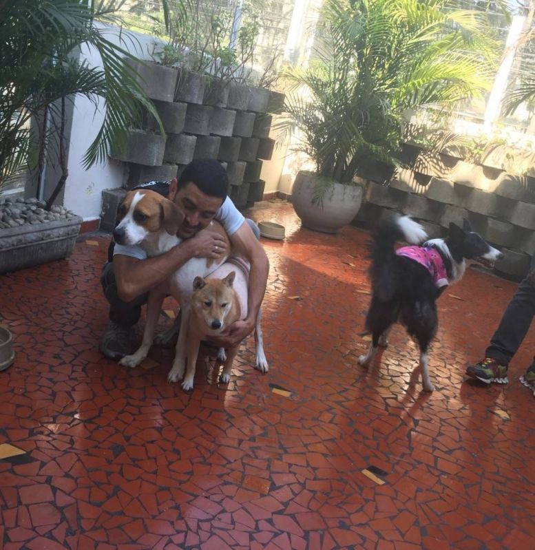 Hotel Canino Online na Cidade Tiradentes - Serviço de Hotel para Cachorro