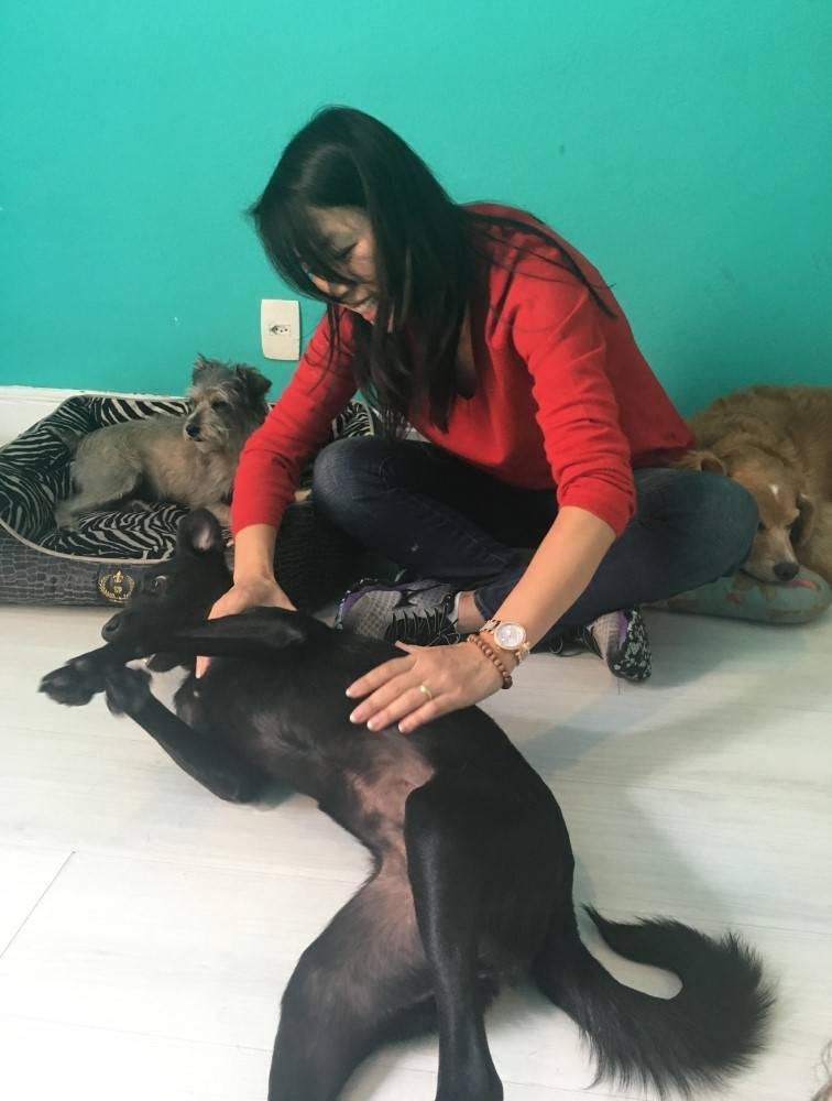 Hotelzinho para Cachorro na Vila Formosa - Hotelzinho para Cães