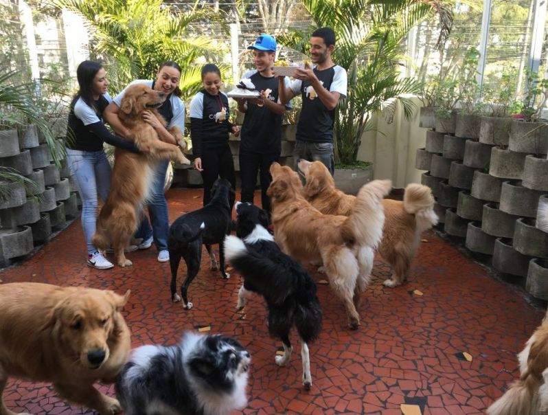 Quanto Custa Creche Hotel para Cães em Franco da Rocha - Hospedagem de Cachorro