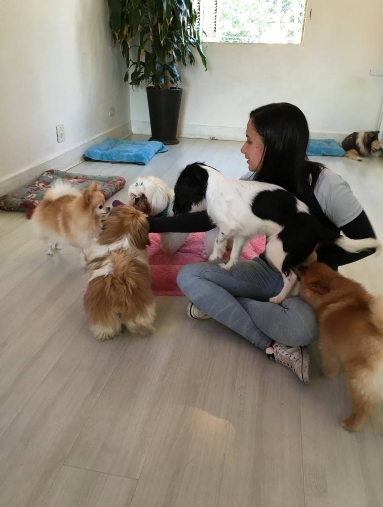 Quanto Custa Espaço para Cachorro no Arujá - Hotel para Cães