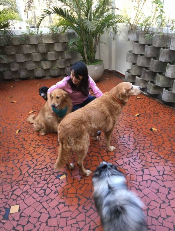 Quanto Custa Serviços para Adestrar Cães na Vila Andrade - Adestramento para Cachorro em São Paulo