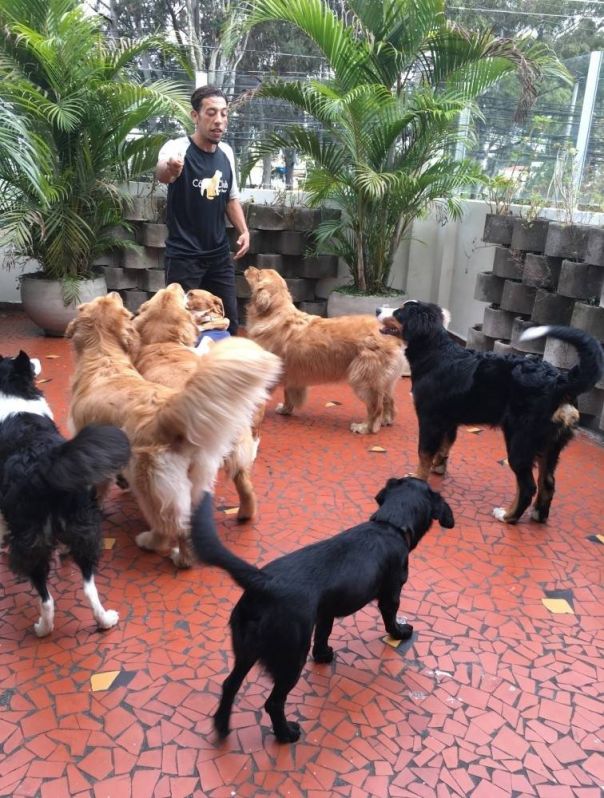 Quanto Custa Spa para Pet  em Ferraz de Vasconcelos - Spa para Cães