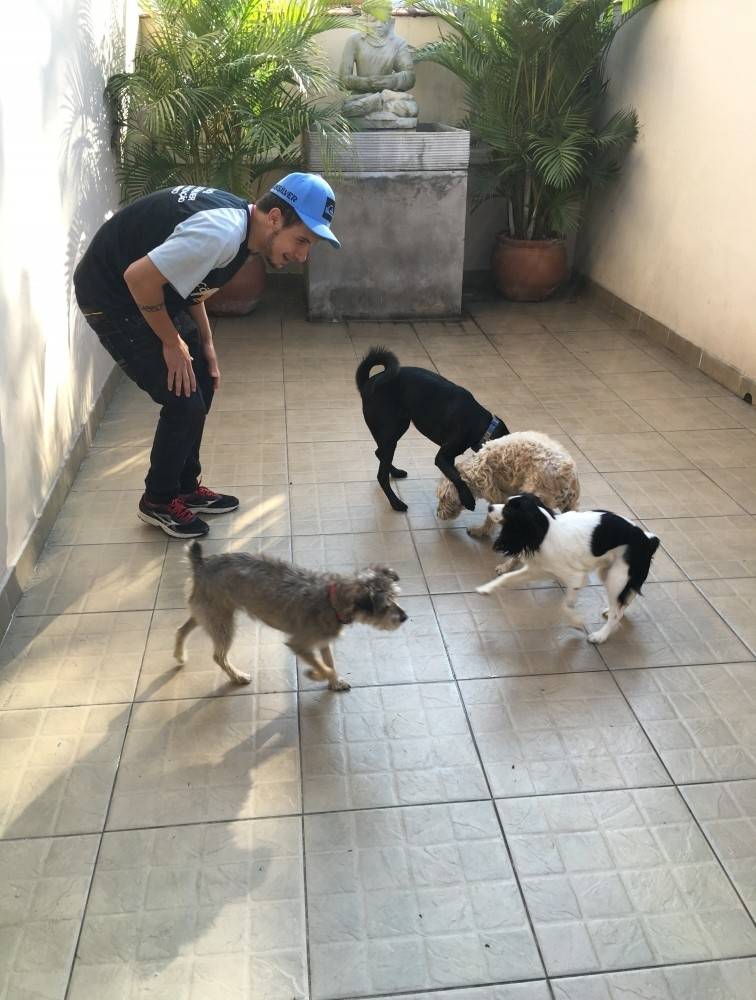 Serviço de Hotel para Cachorro Preço em Mairiporã - Creche Hotel para Cães