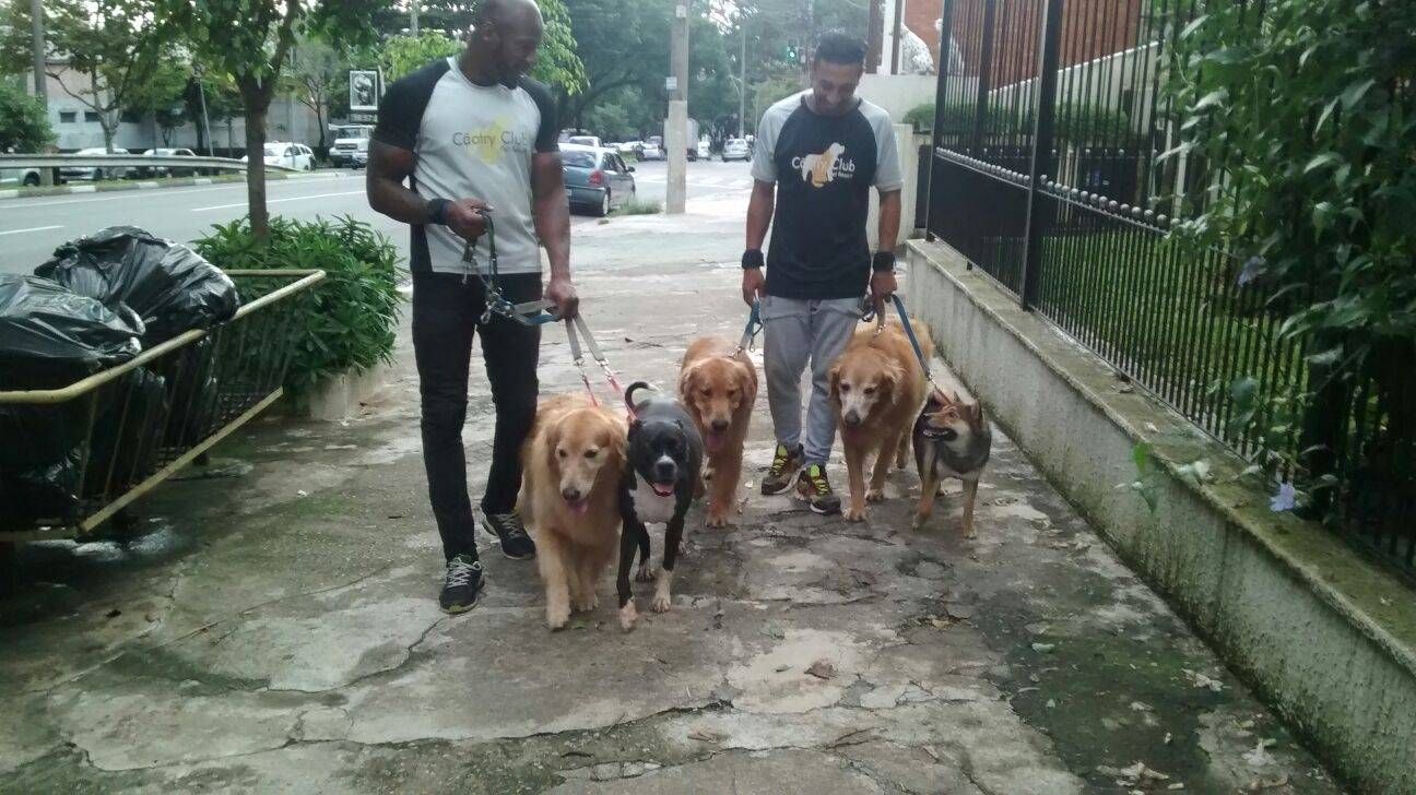 Serviços de Creche para Cachorros em Santa Isabel - Creche para Cachorro em São Paulo