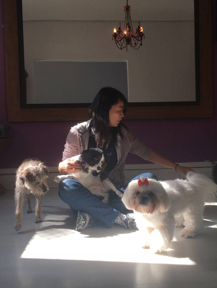 Serviços de Creche para Cães em Salesópolis - Serviços de Creche para Cachorro