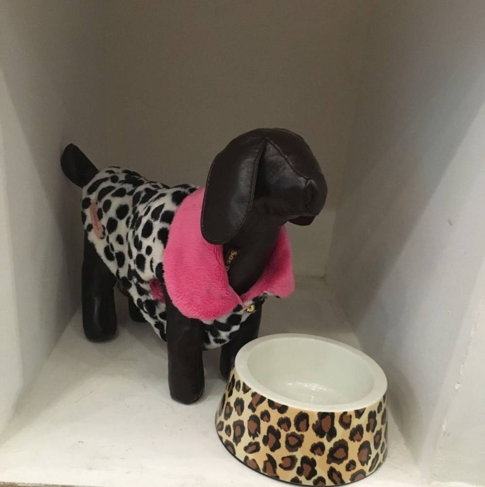 Serviços de Pet Shop para Cachorro em Embu das Artes - Clínica com Pet Shop