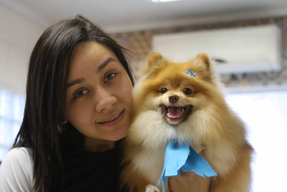 Serviços Especializados em Banho e Tosa em Biritiba Mirim - Banho e Tosa para Cachorro em São Paulo