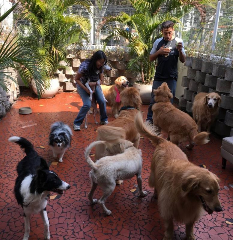 Spa para Cachorros em Santana de Parnaíba - Spa para Pet 