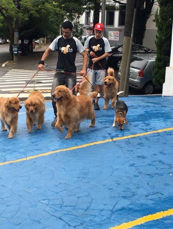 Spa para Pet  Preço no Jardim São Paulo - Spa para Cães