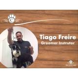 curso de tosa poodle Itaquera